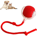 New Dog Interactive Ball Toy, Intelligent Automatic Rolling Balls Toy for Cats and Dogs