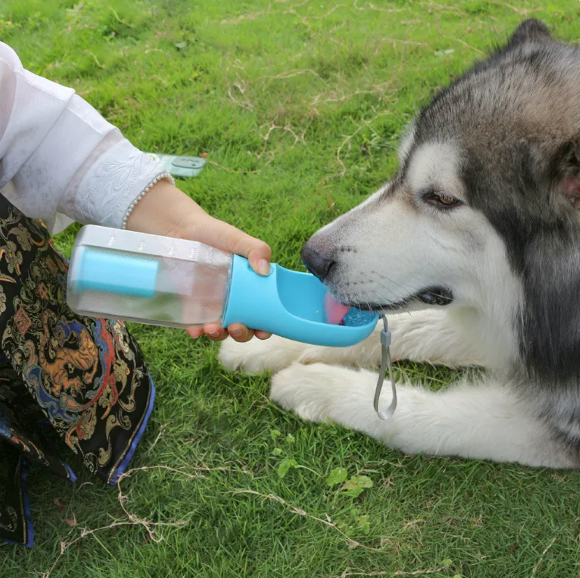 Dear Bark 3-in-1 Walk & Go Bottle