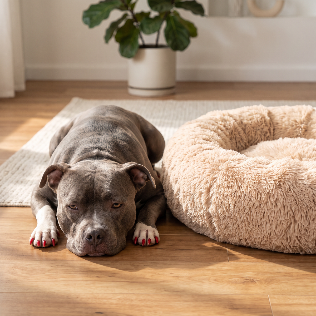 Bedsure Donut Calming Dog & Cat Bed — Ultra-Soft Faux Fur, Anti-Slip, Machine Washable