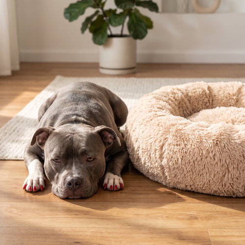 Bedsure Donut Calming Dog & Cat Bed — Ultra-Soft Faux Fur, Anti-Slip, Machine Washable